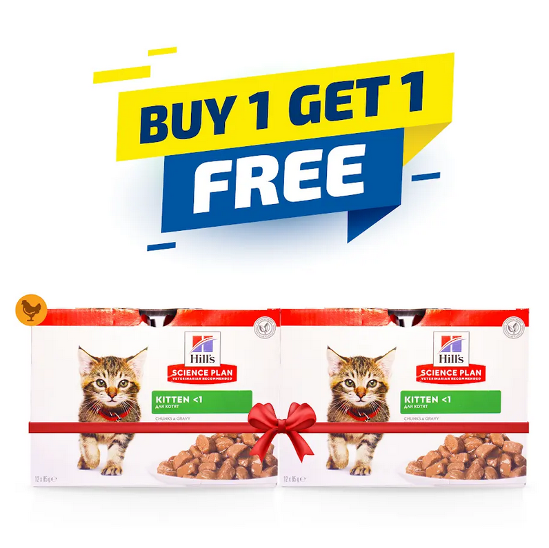 Hill's Science Plan Tender Chunks & Gravy Kitten Chicken Pouches 85gx12